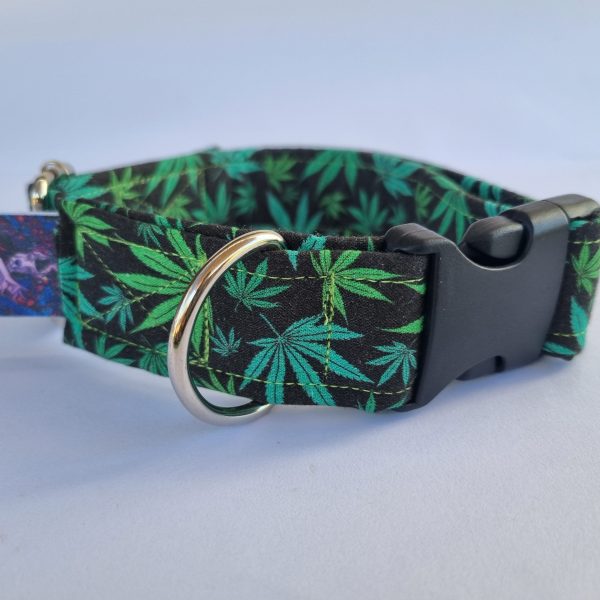 Foto del collar de perro marihuana
