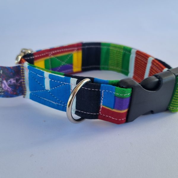 Foto del collar de perro de colores