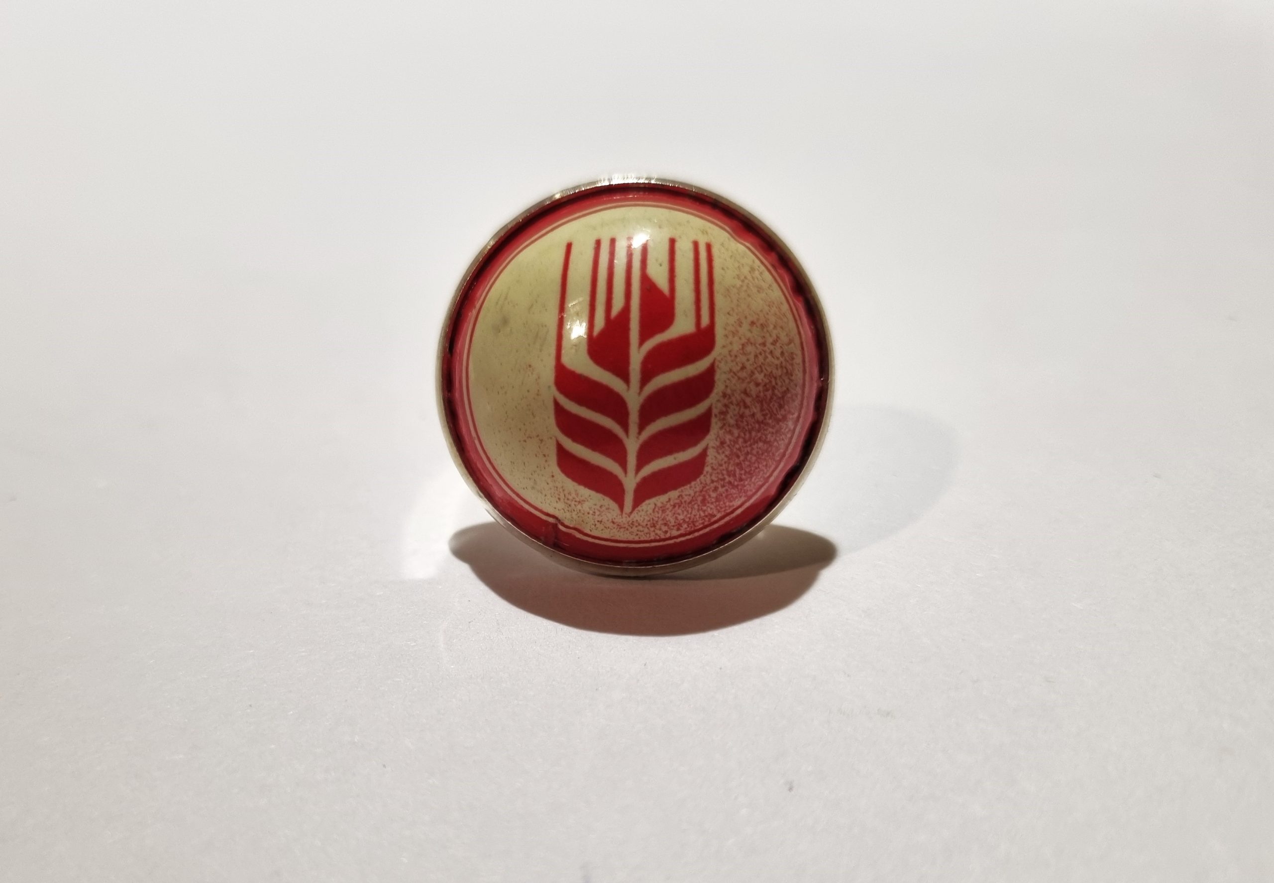 Foto frontal del Anillo Colección XXL Espiga IPA